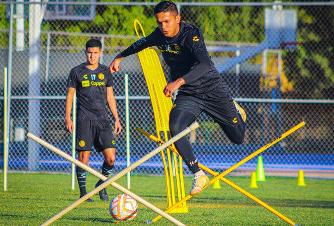 Posponen partido Dorados-Correcaminos por violencia en Culiacán