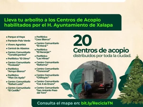 Estos son los centros en Xalapa para reciclar los pinos de Navidad