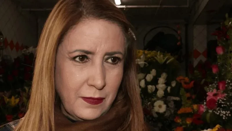 Empresa «fantasma» gana contratos por mas de 444 millones del DIF, de SSP, de Desarrollo Social y mas