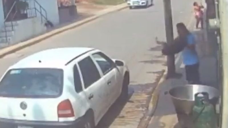¡Fuertes imágenes! Arrojan a perrito a cazuela con aceite hirviendo
