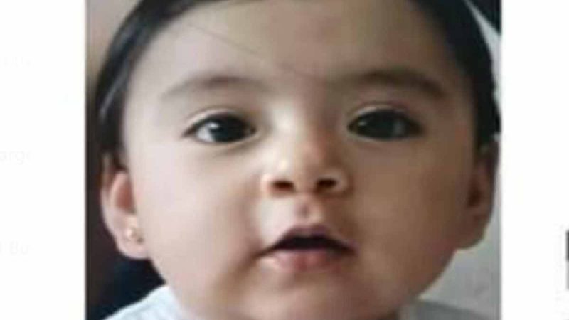 ¿La has visto? Buscamos a la bebé Sofía, se la llevó su papá