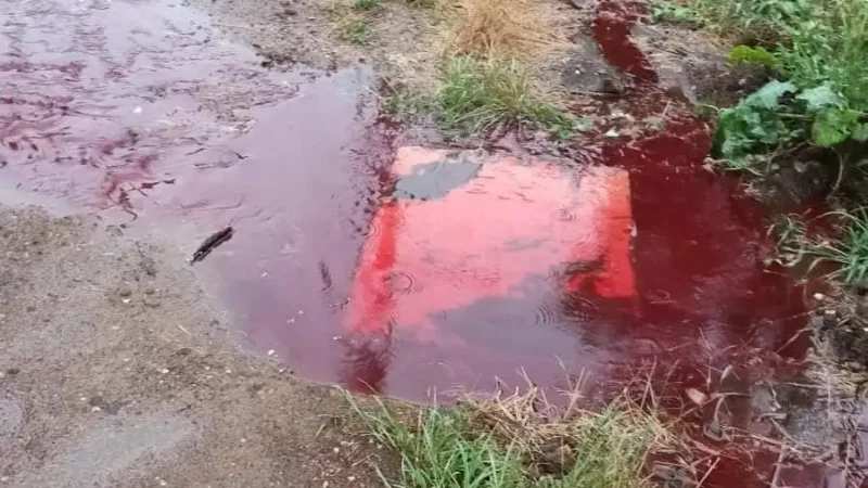 Brota sangre de alcantarillas en Jilotepec