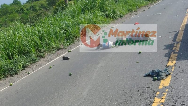 Tragedia en la carretera