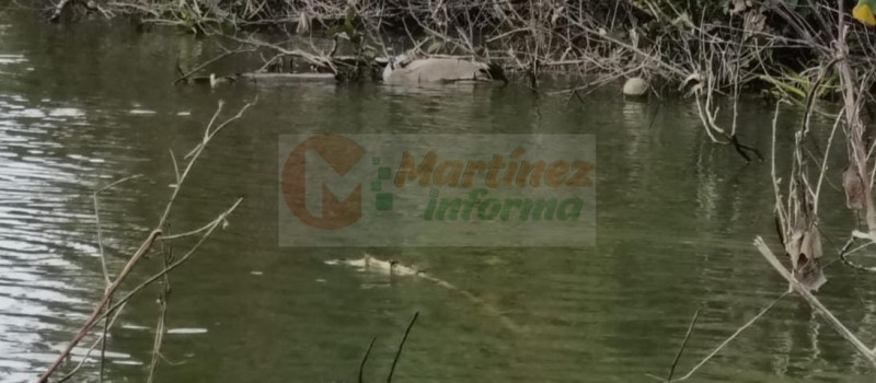 Hallan hombre maniatado y sin vida en la bocana