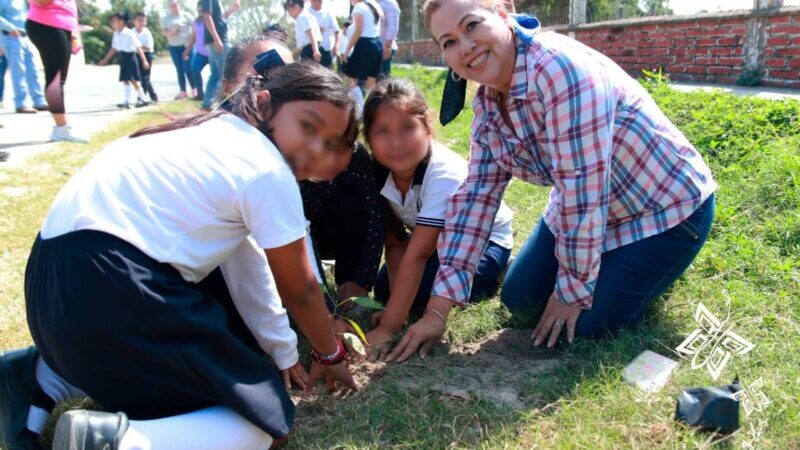 Programa intensivo de Reforestación municipal llega a Balsas de Agua