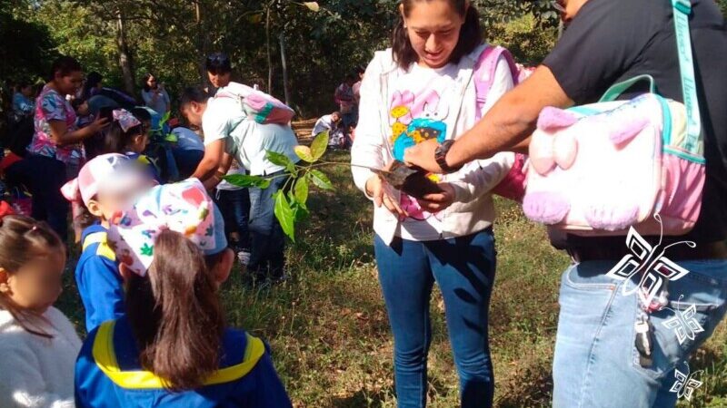 Niñas y niños, aliados del cuidado del Medio Ambiente