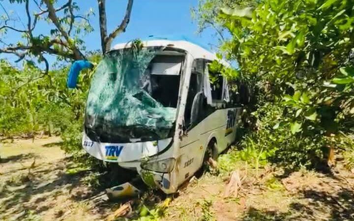 Autobús de la línea TRV terminó en los platanares