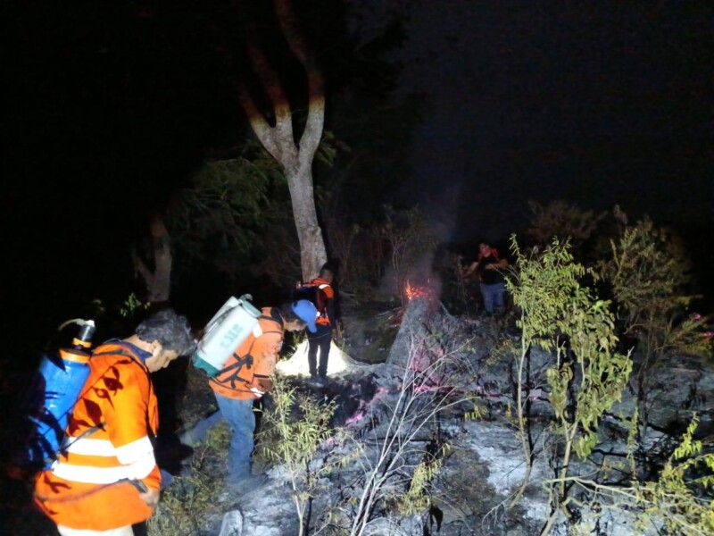 Ante temperaturas altas debemos extremar precauciones