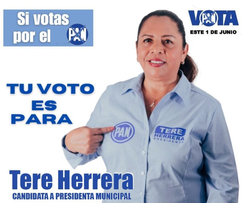 Donde alguien más ve un problema, en el PAN vemos OPORTUNIDADES