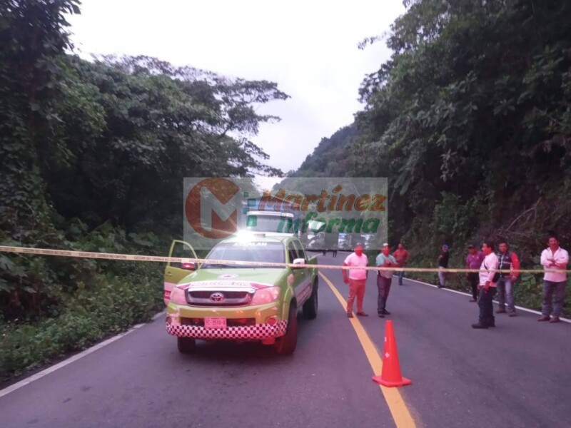 Tragedia en la carretera