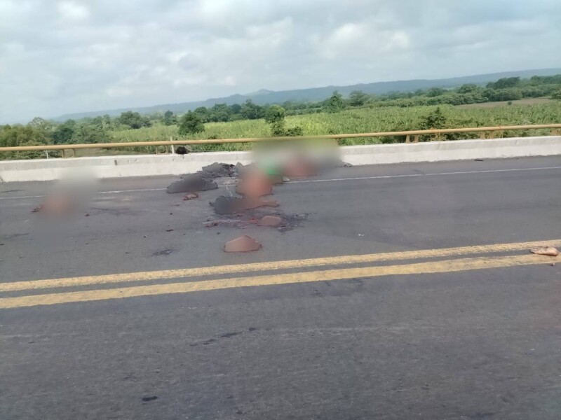 Arrojan restos humanos en la carretera Poza Rica-Cazones