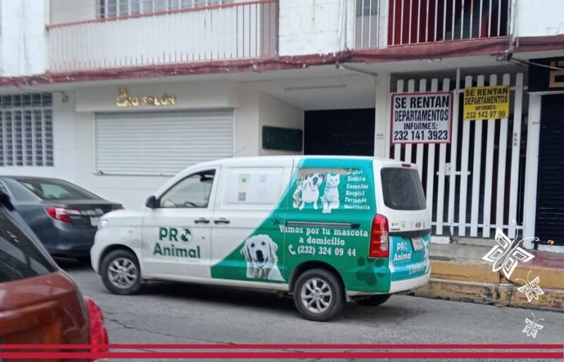 Ayuntamiento responde a denuncia por perrito maltratado