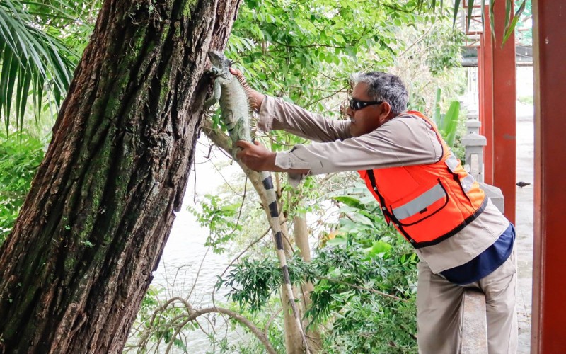 Se protege la flora y fauna en administración de Alfa Citlalli