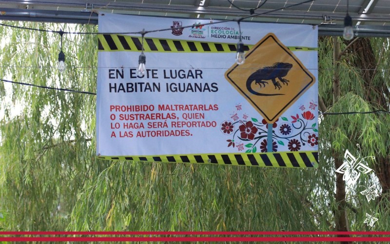 Gobierno municipal exhorta a proteger fauna endémica