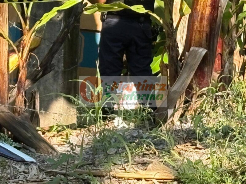 Joven desaparecido es hallado sin vida