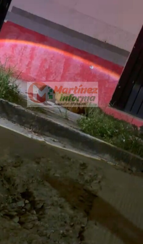 Baleado en la Altamirano
