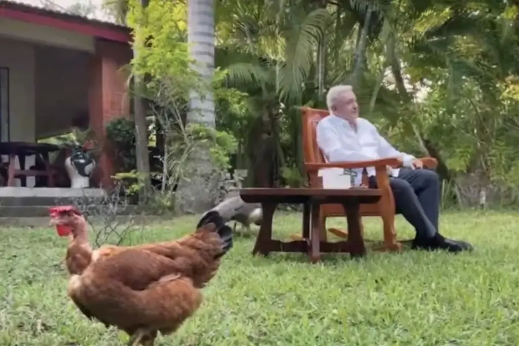 ‘No estoy tras el trono’, señala AMLO tras reaparecer en redes sociales