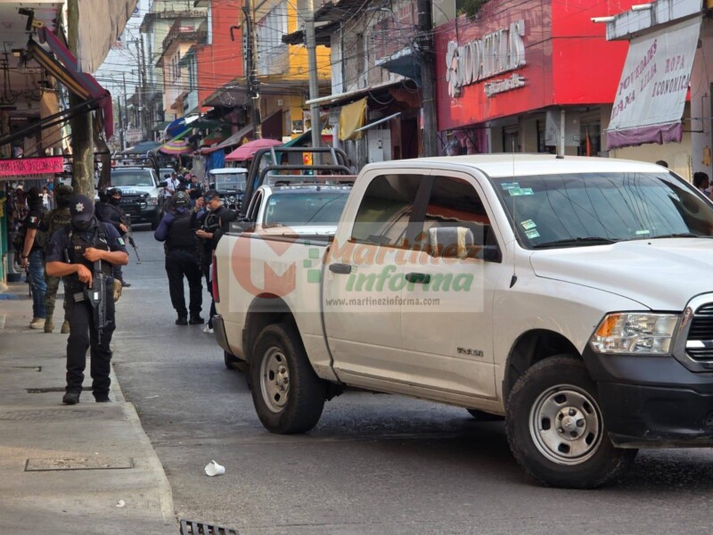 Cateo en pleno centro de Tlapacoyan