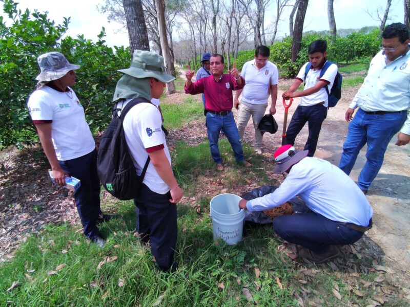 Análisis de suelo en beneficio del sector agrícola