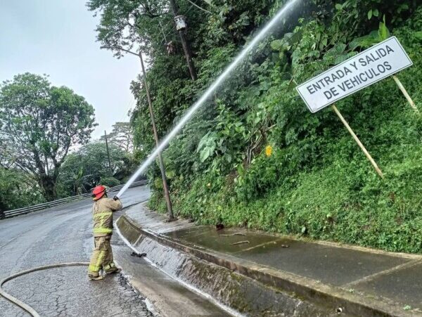 Incendio de Árbol en la Localidad del Arco, Jalacingo