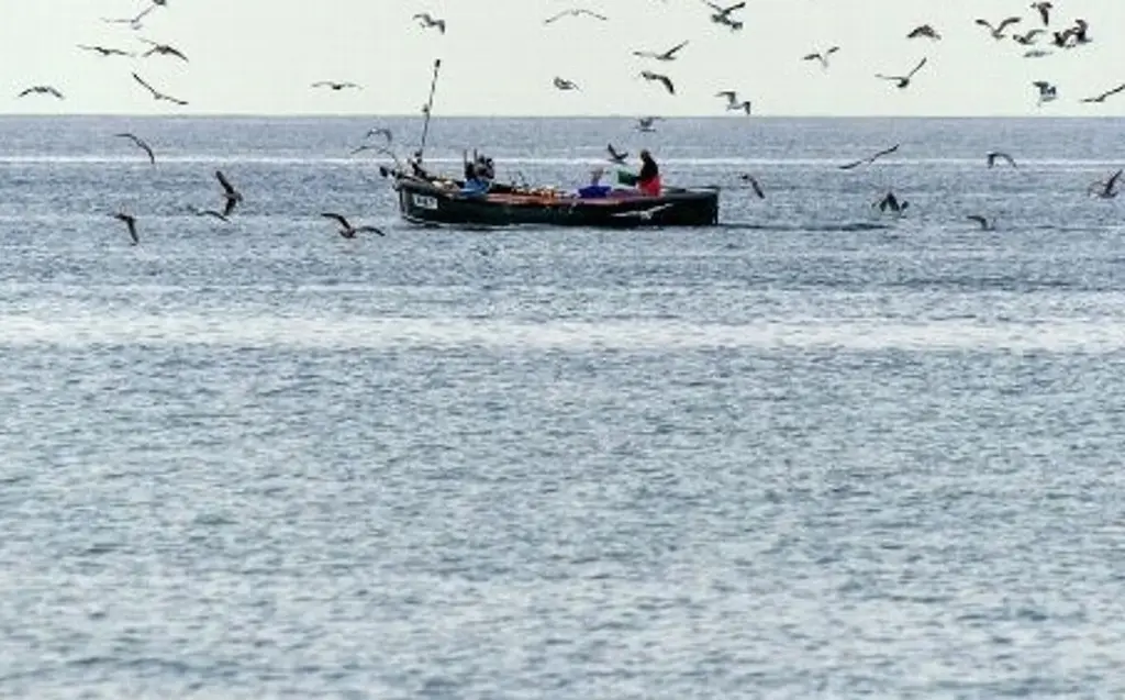 Pescadores reportan restos de petróleo en playas de Vega de Alatorre